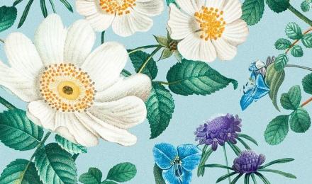 Botanical Aesthetic Wallpapers