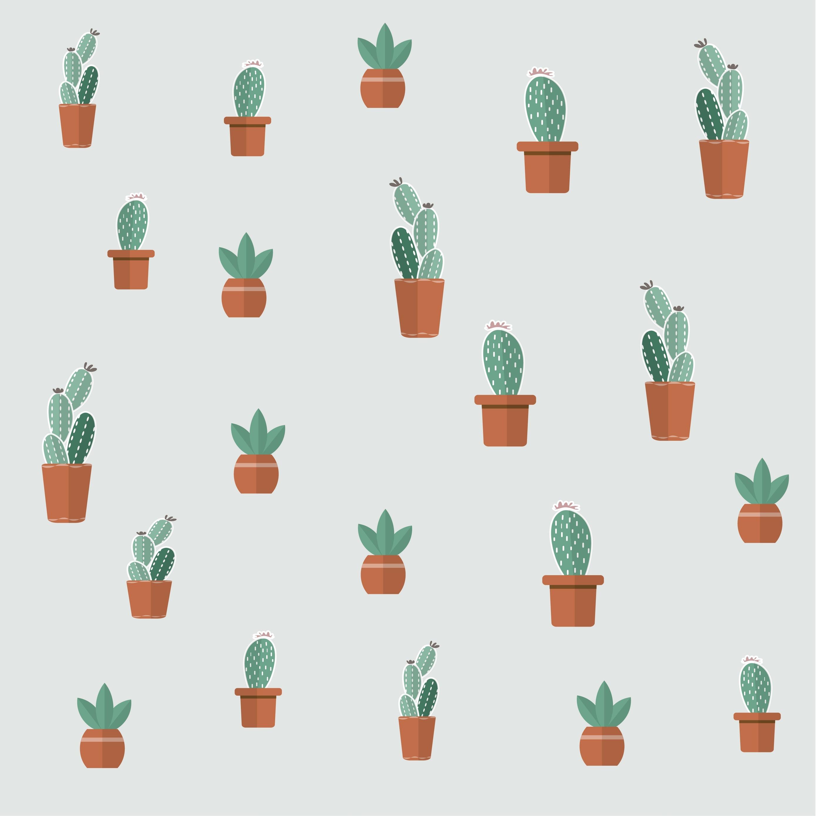 Cute Aesthetic Cactus Wallpaper