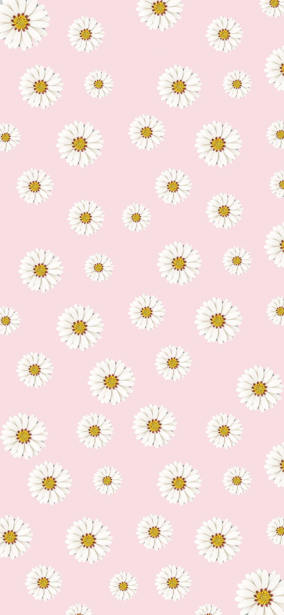 Pink Aesthetic Picture : Daisy Pink Wallpaper iPhone Wallpaper