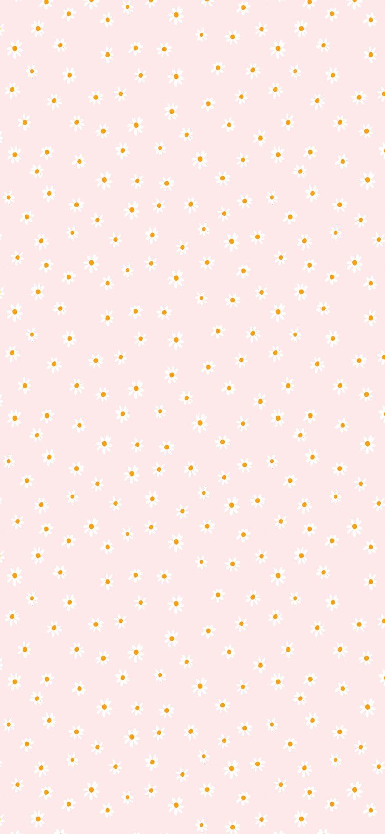 Pink Aesthetic Picture : Daisy Wallpaper for Phone Wallpaper