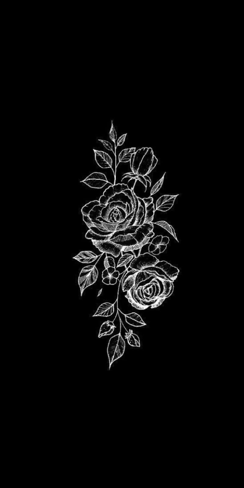 Black and white roses wallpaper for your phone - Black, roses, black rose, black and white, modern