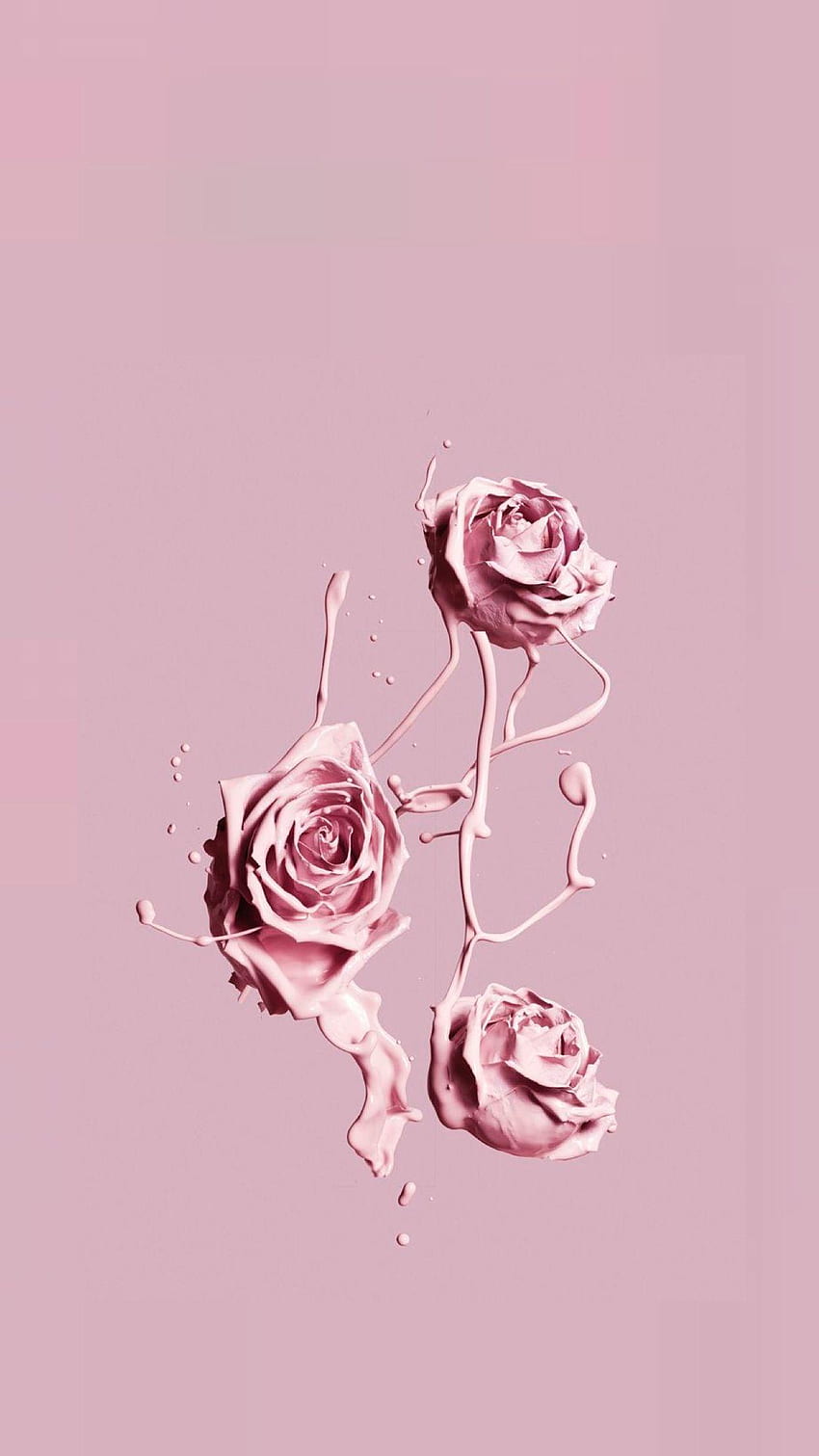 Pink Roses Aesthetic, Pastel Rose Flower HD phone wallpaper