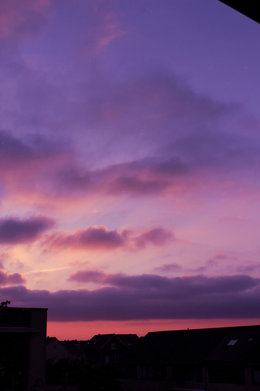 HD wallpaper: sky, sunset, clouds, pastel, pink, purple, wild, shadows, cloud
