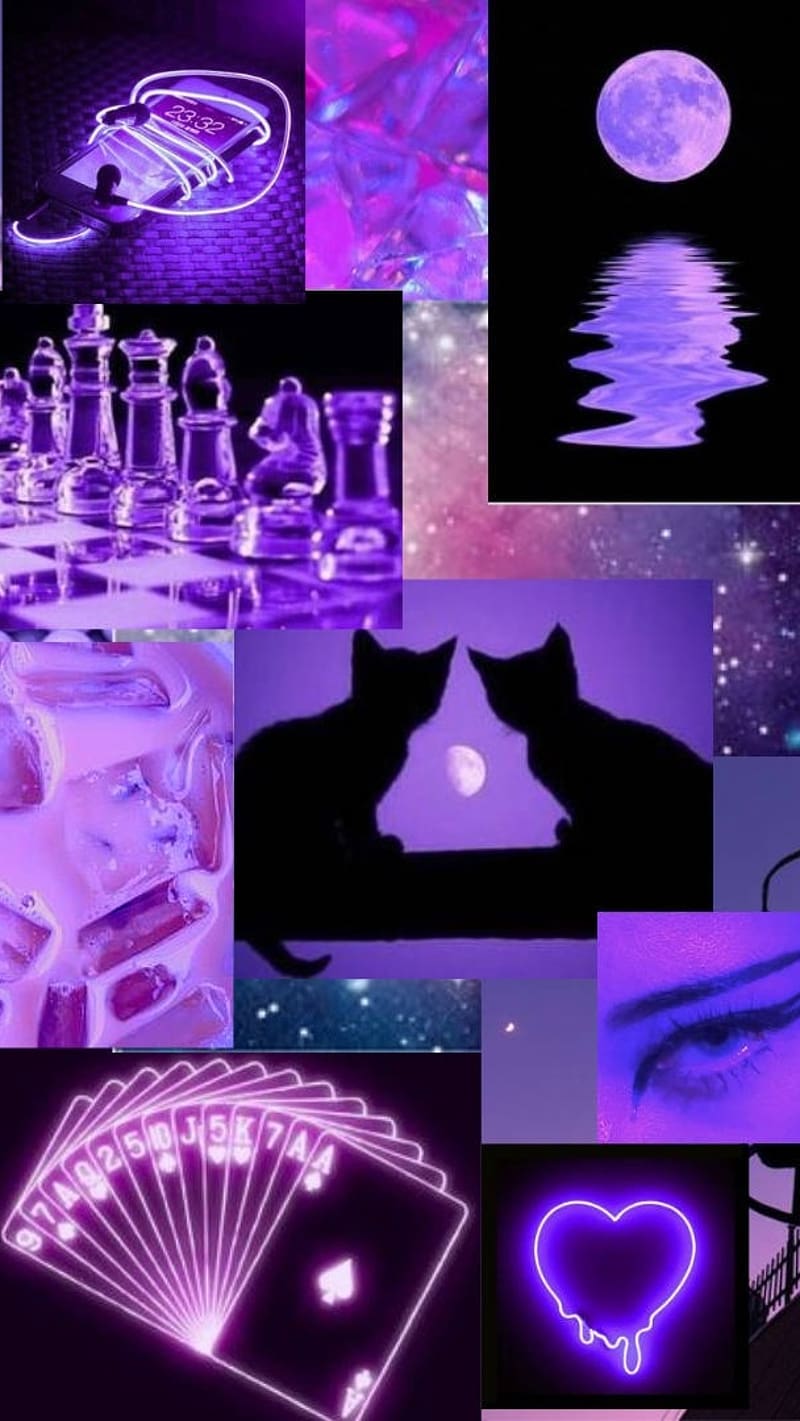 Aesthetic Purple, Moon And Cat, moon, cat, neon, HD phone wallpaper