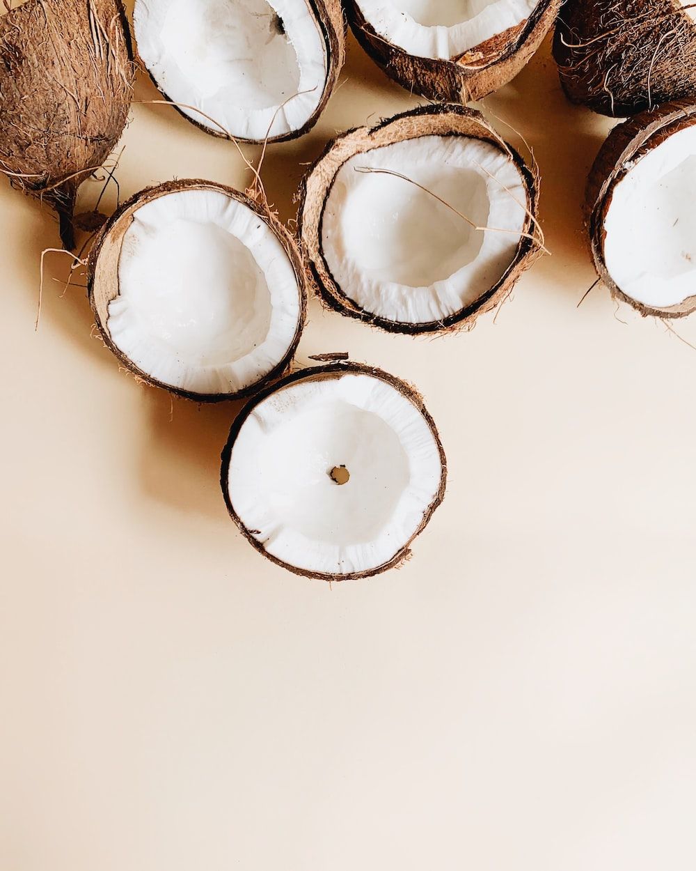 Coconut Picture. Download Free Image