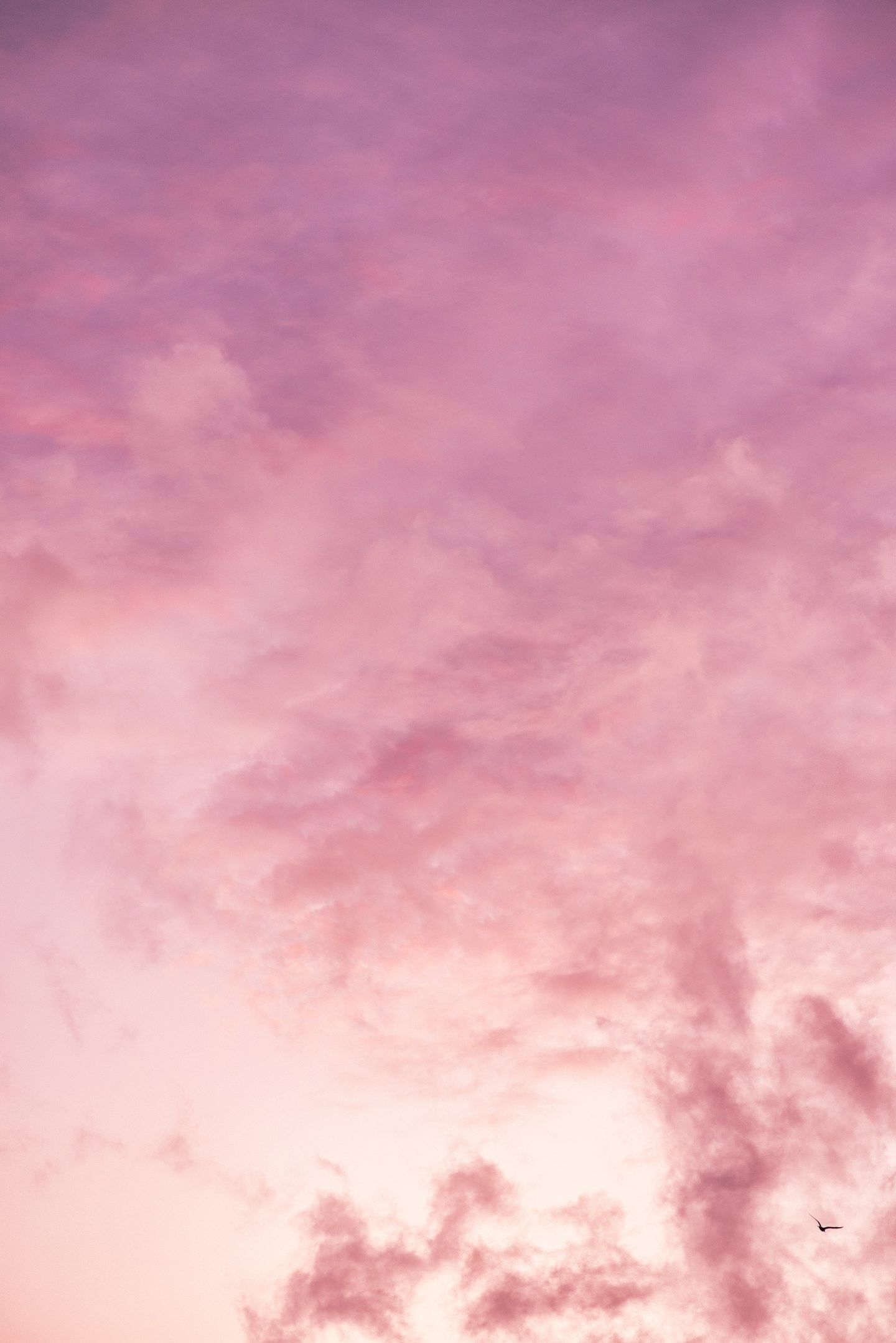 Cute Pink Wallpaper For iPhone That You'll Love