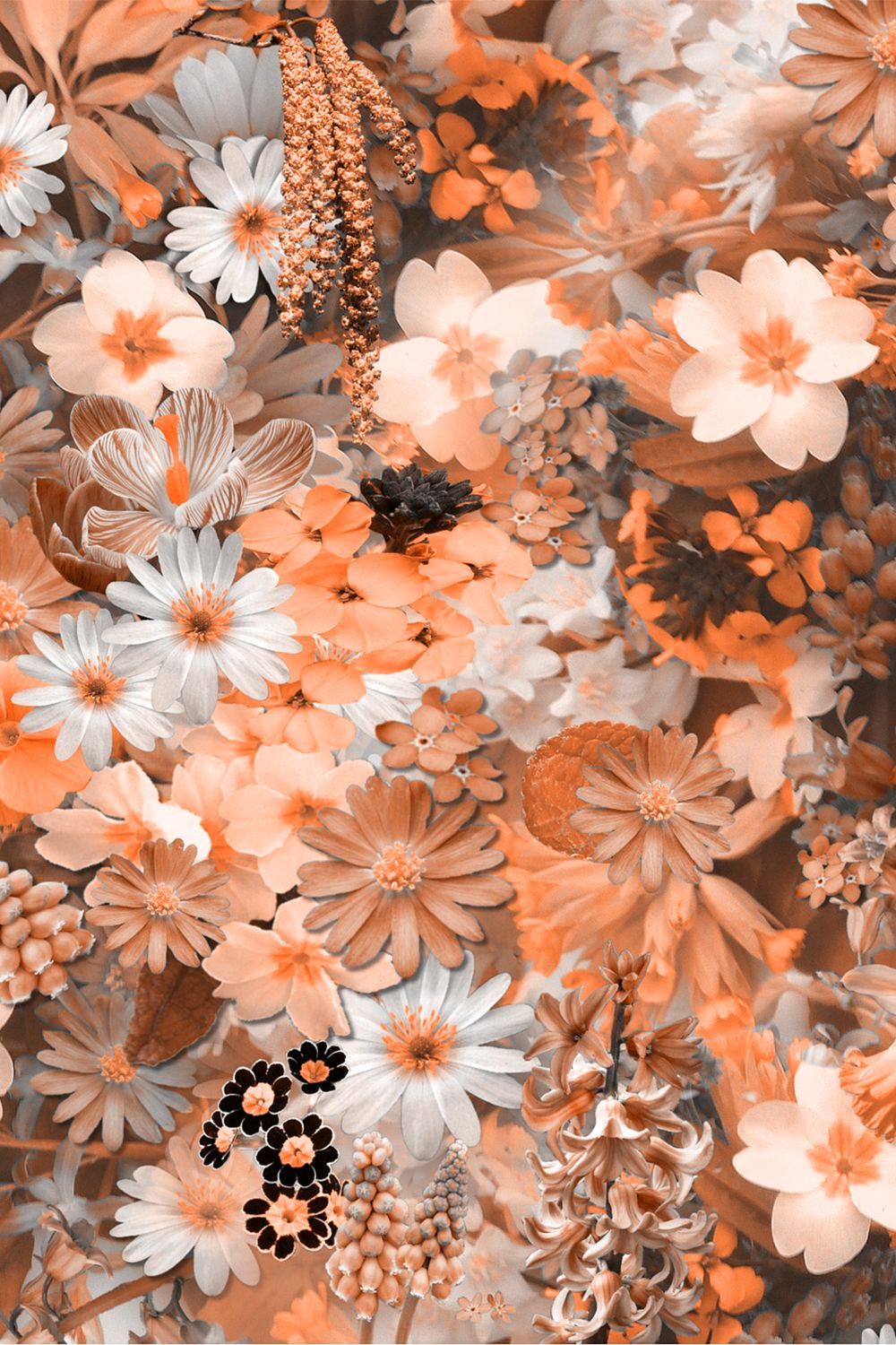 Cute Aesthetic Flower Wallpaper Free Cute Aesthetic Flower Background