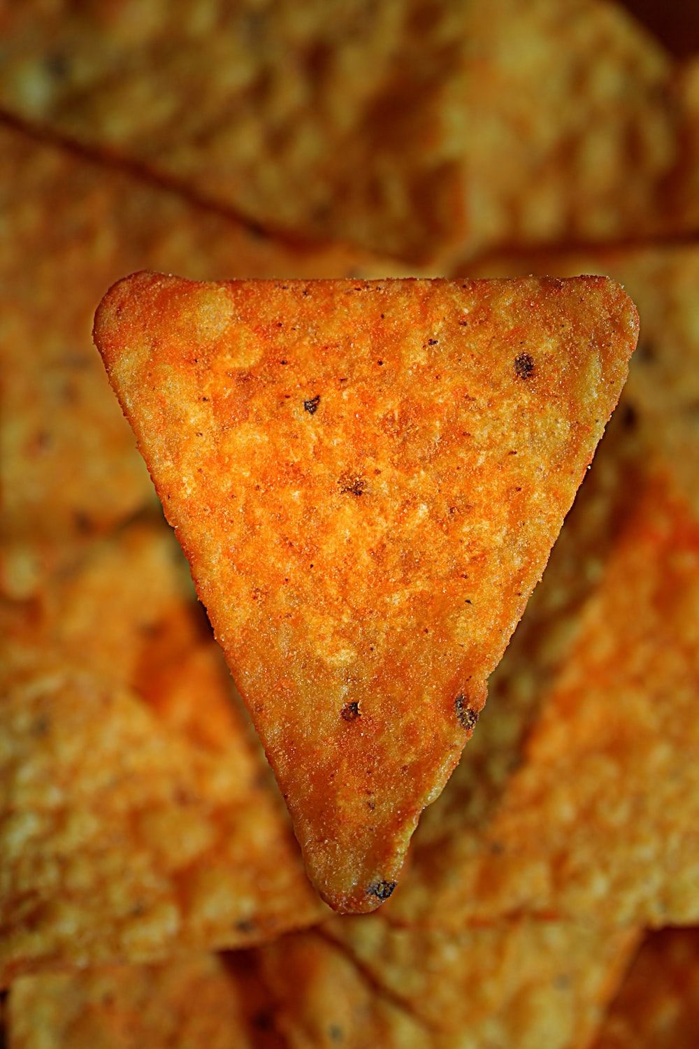 a close up of a slice of cheese pizza photo
