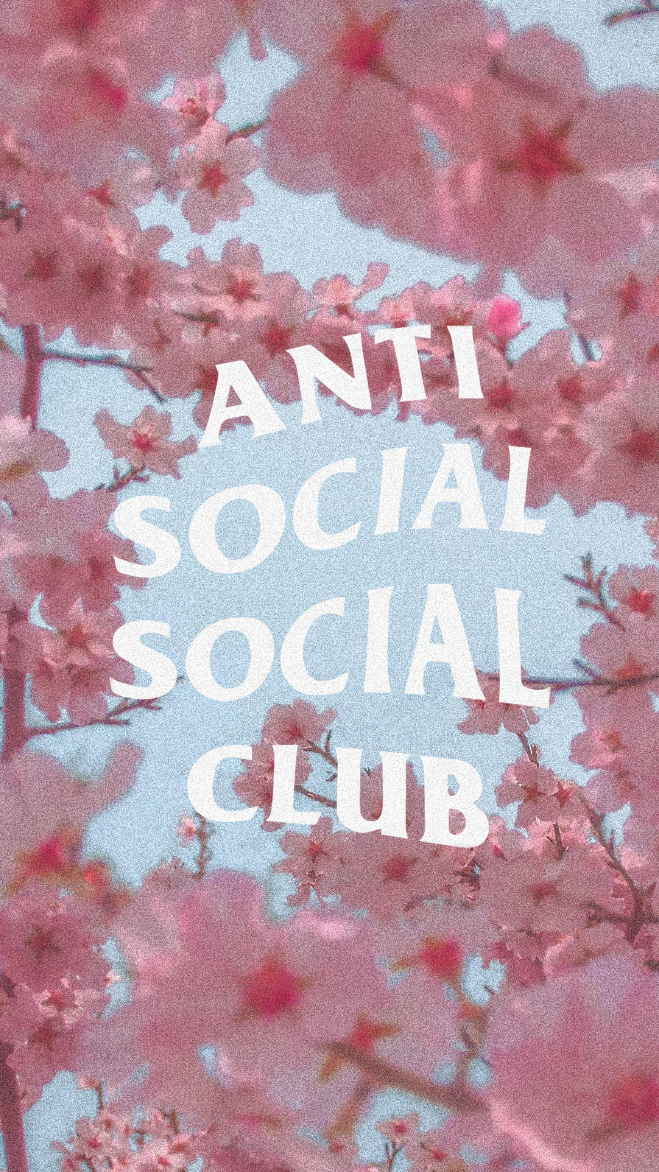 Download Anti Social Social Club Cherry Blossoms Wallpaper