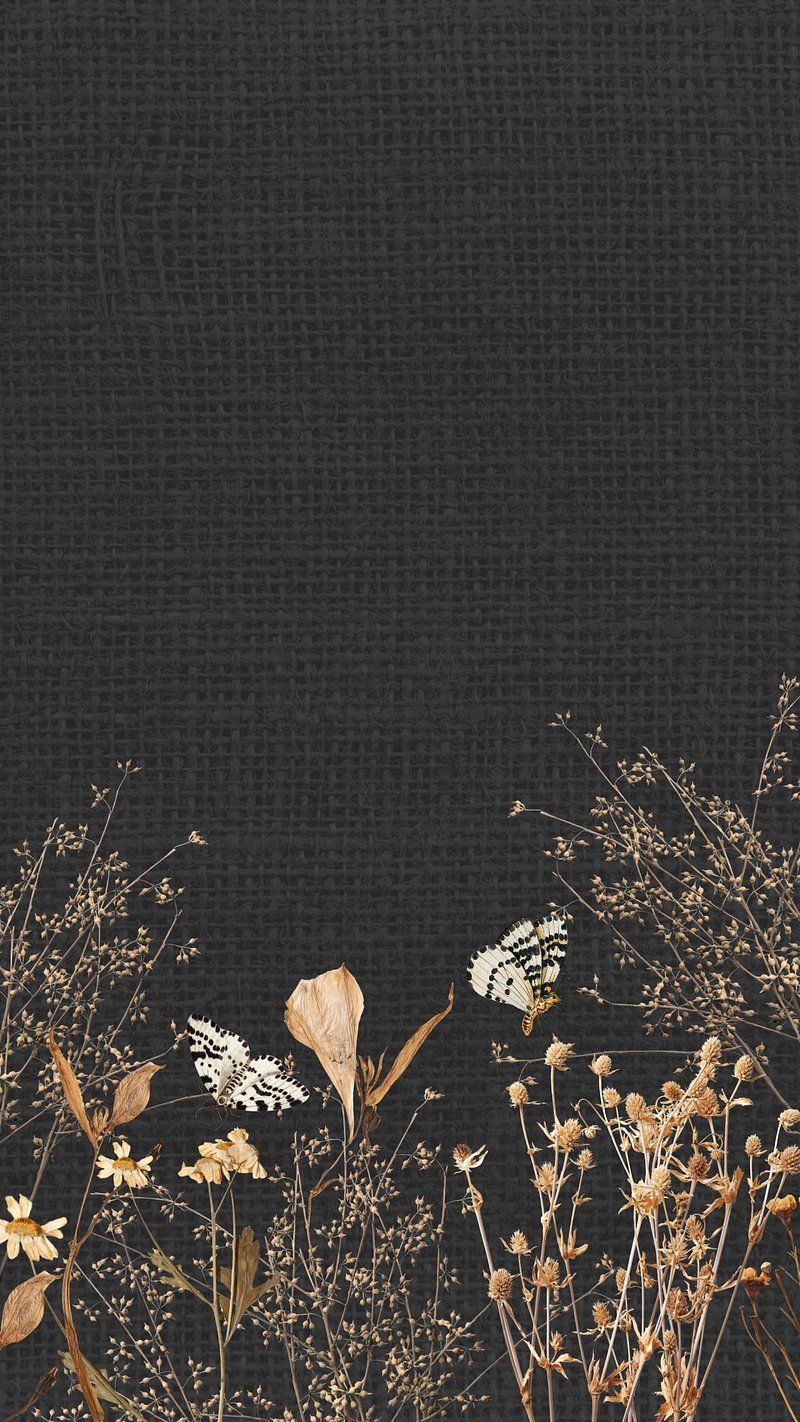Dried flowers on a black background - Phone, black, botanical, vintage fall, gray, black phone, Chinese, design