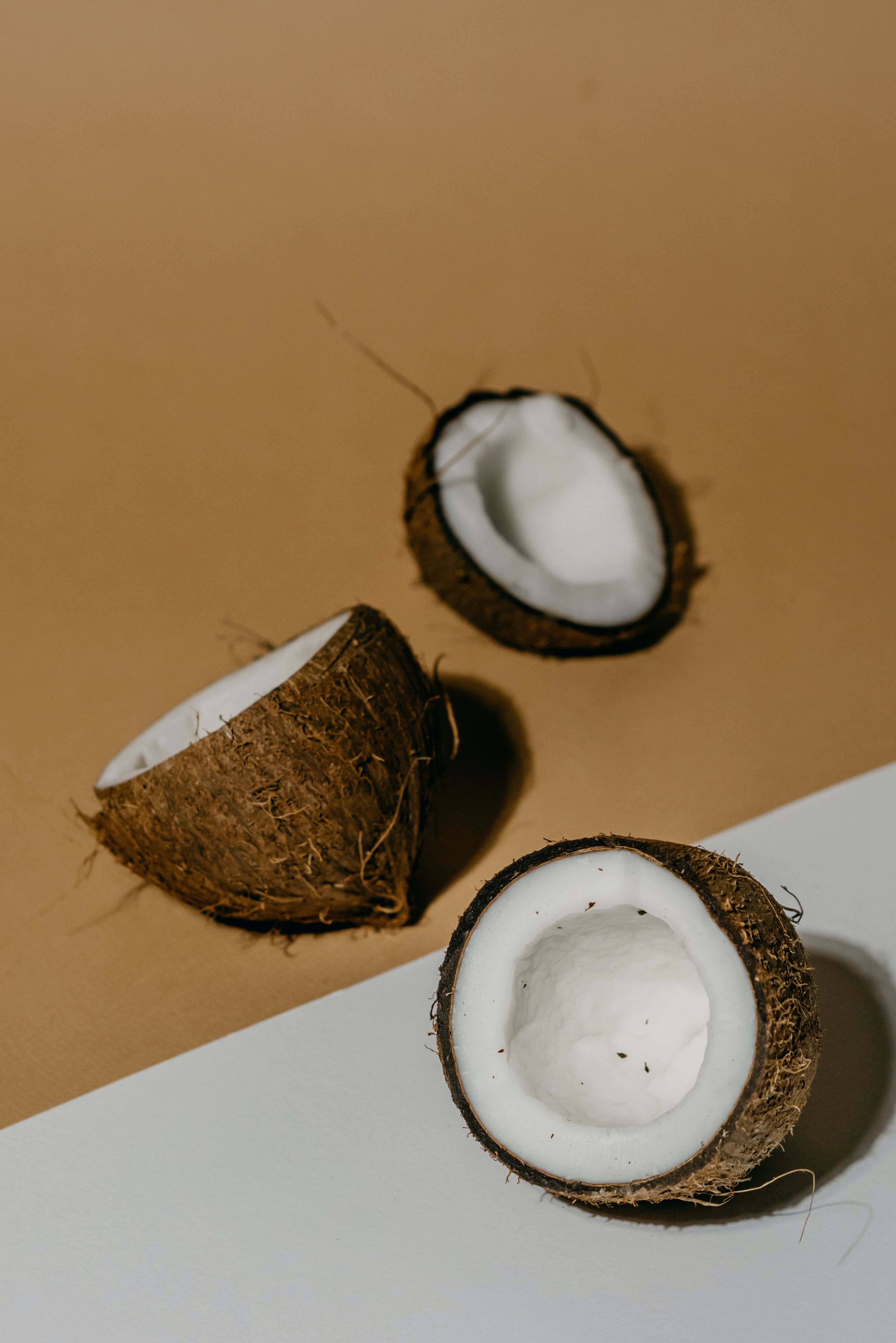 Coconut Fruit Photo, Download The BEST Free Coconut Fruit & HD Image