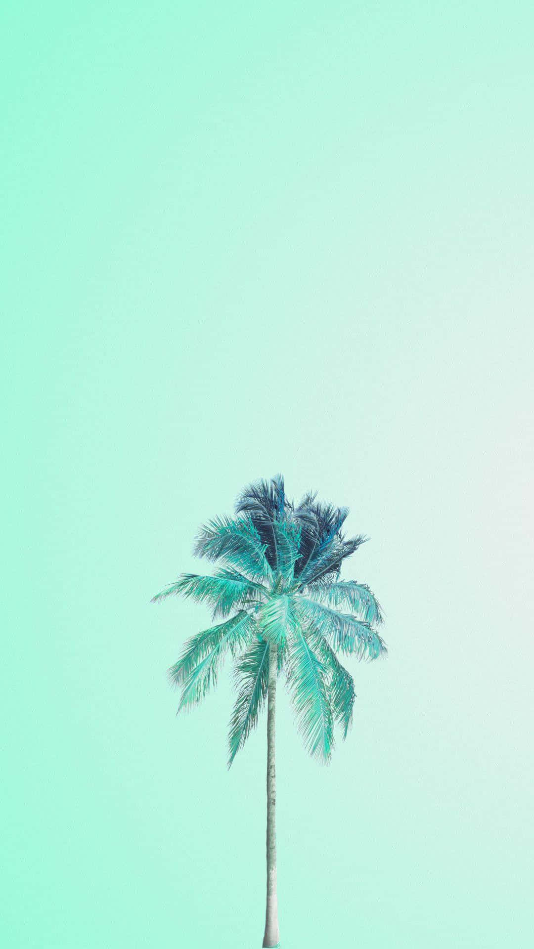 Download Cute Mint Green Aesthetic Coconut Tree Wallpaper