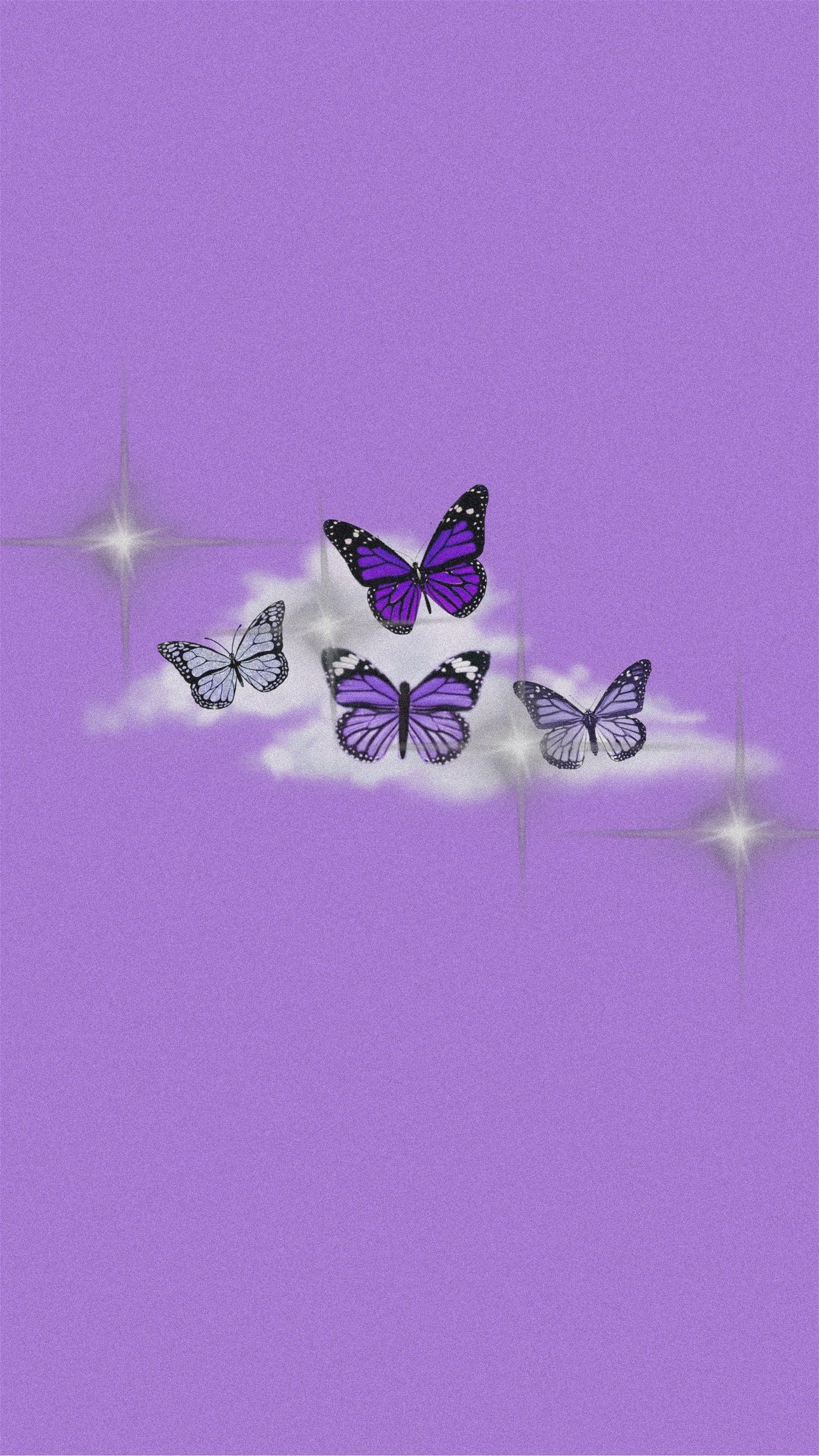 Aesthetic Purple Butterfly Wallpaper Download