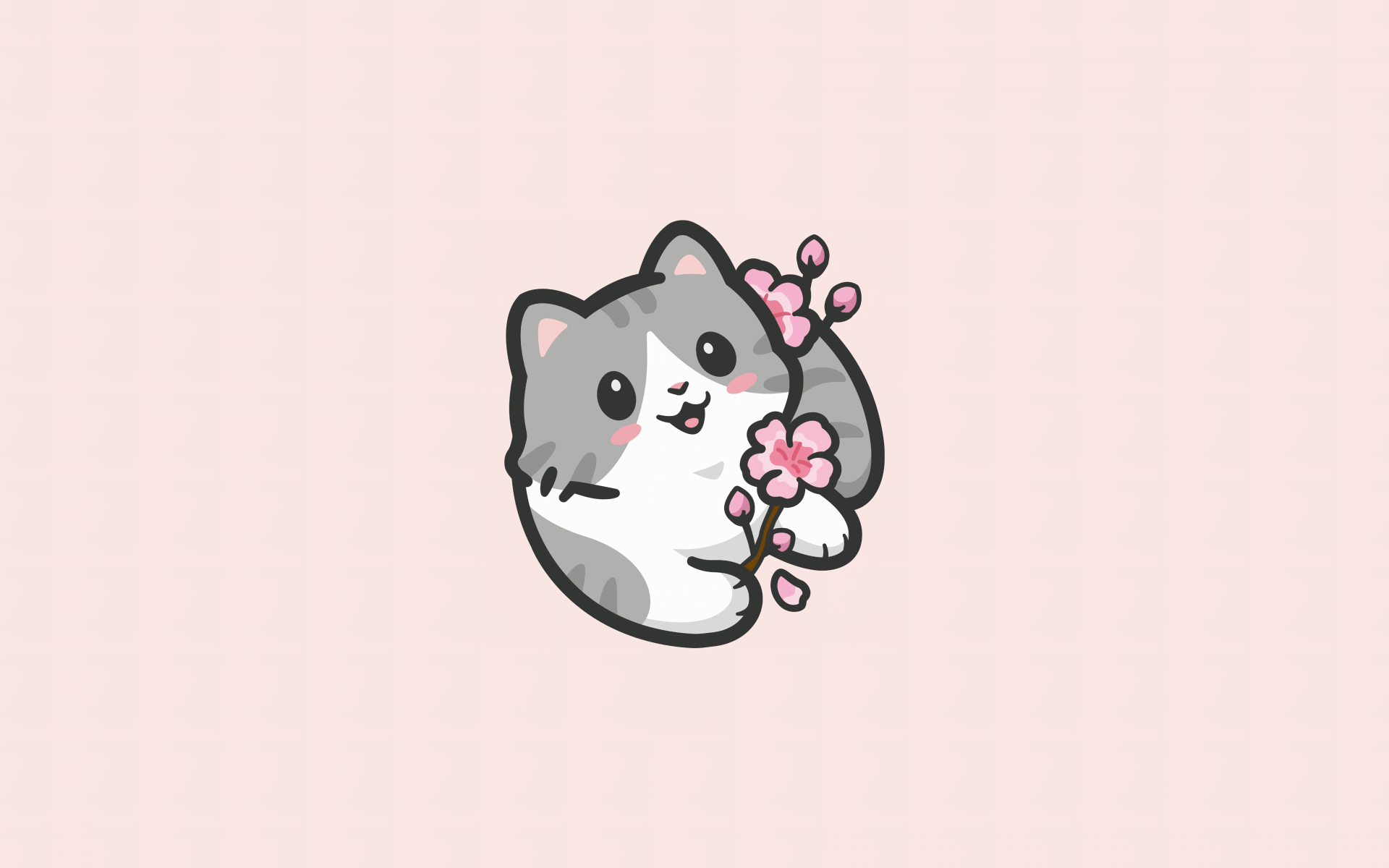 A white and grey cat holding a pink flower - Cute