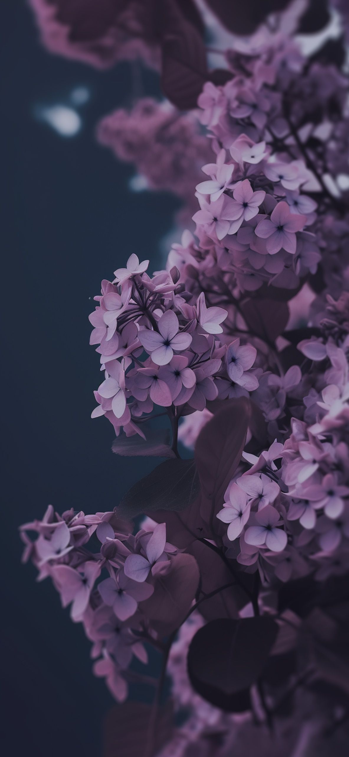 Aggregate lilac aesthetic wallpaper latest