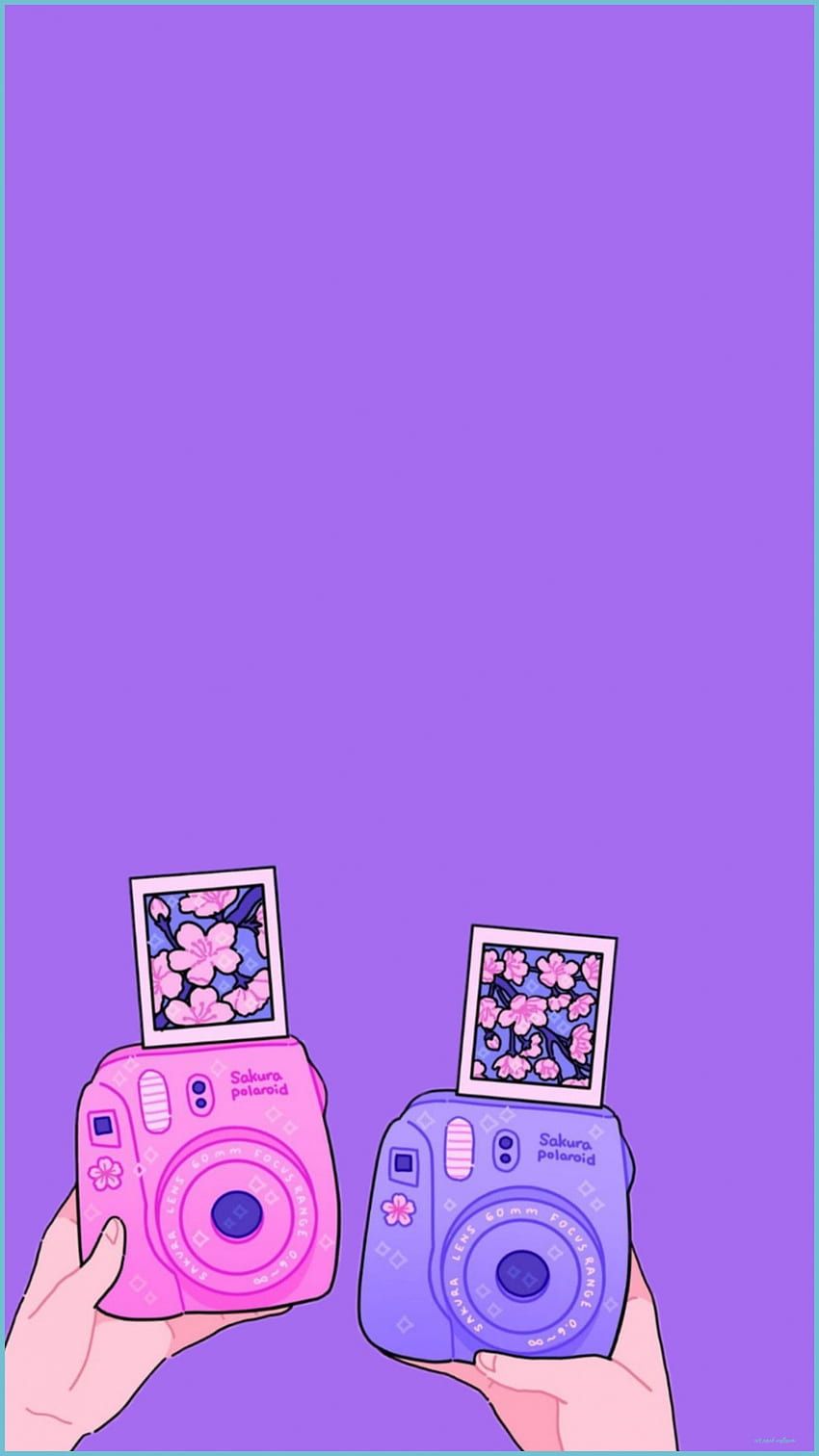Violet cute HD wallpaper