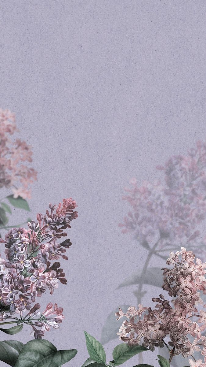 Lilac iPhone Wallpaper Image Wallpaper