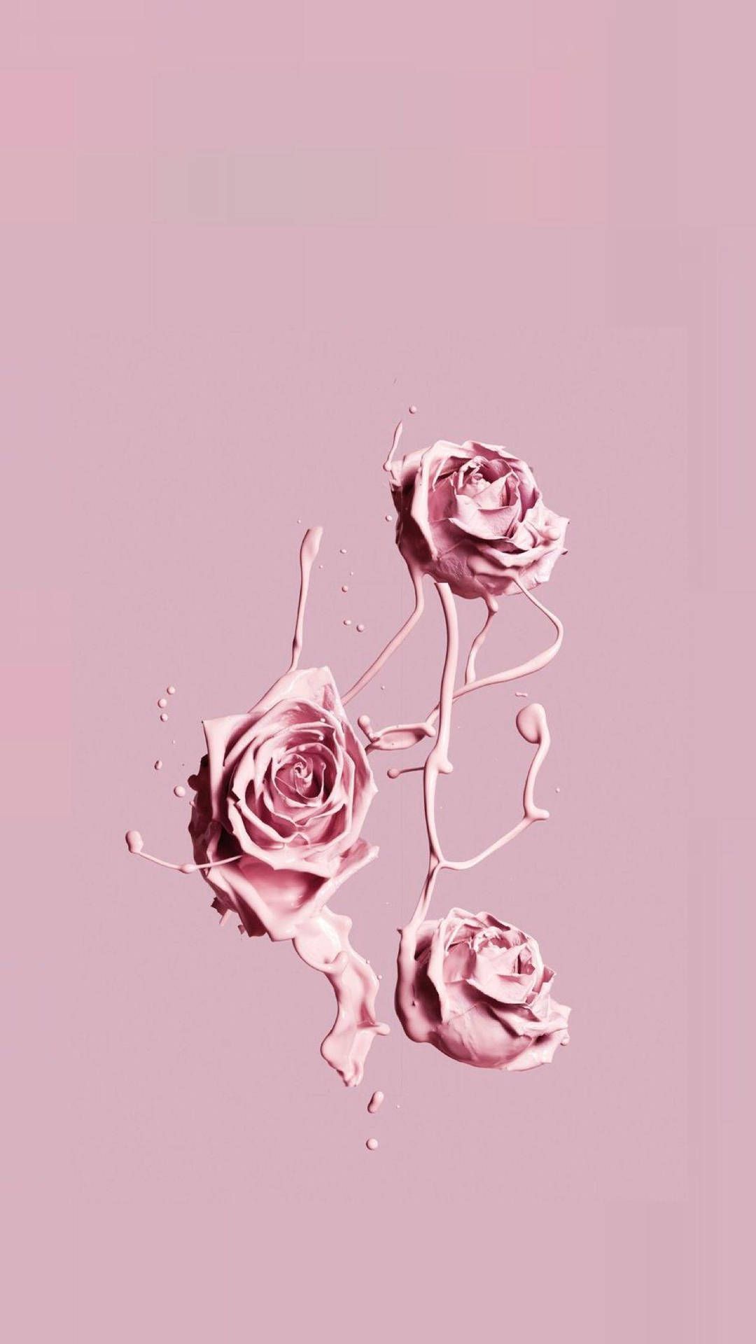 IPhone wallpaper with beautiful flowers, pink roses, and a splash of watercolor paint. - Pink