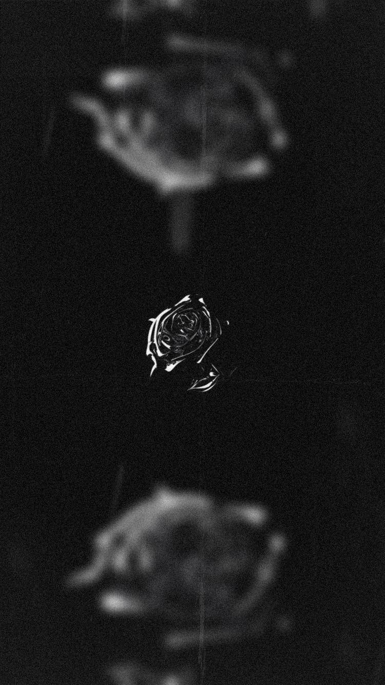 A black and white photo of a rose on a black background - Pop Smoke, black