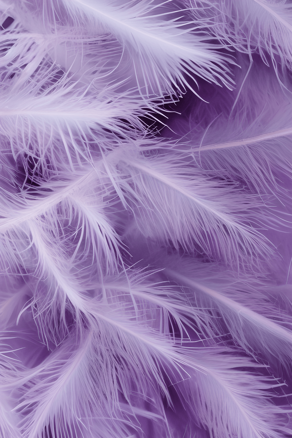 A close up of purple feathers, with a purple hue to them. - Feathers, purple