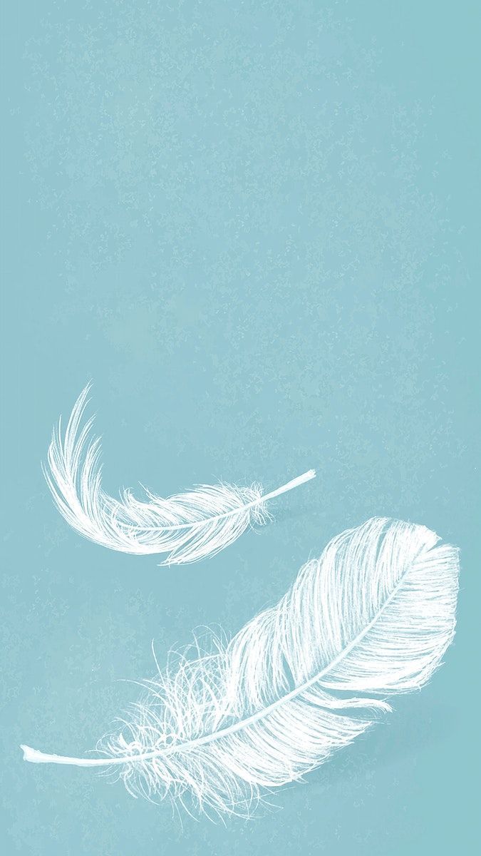 Two white feathers on a blue background - Feathers