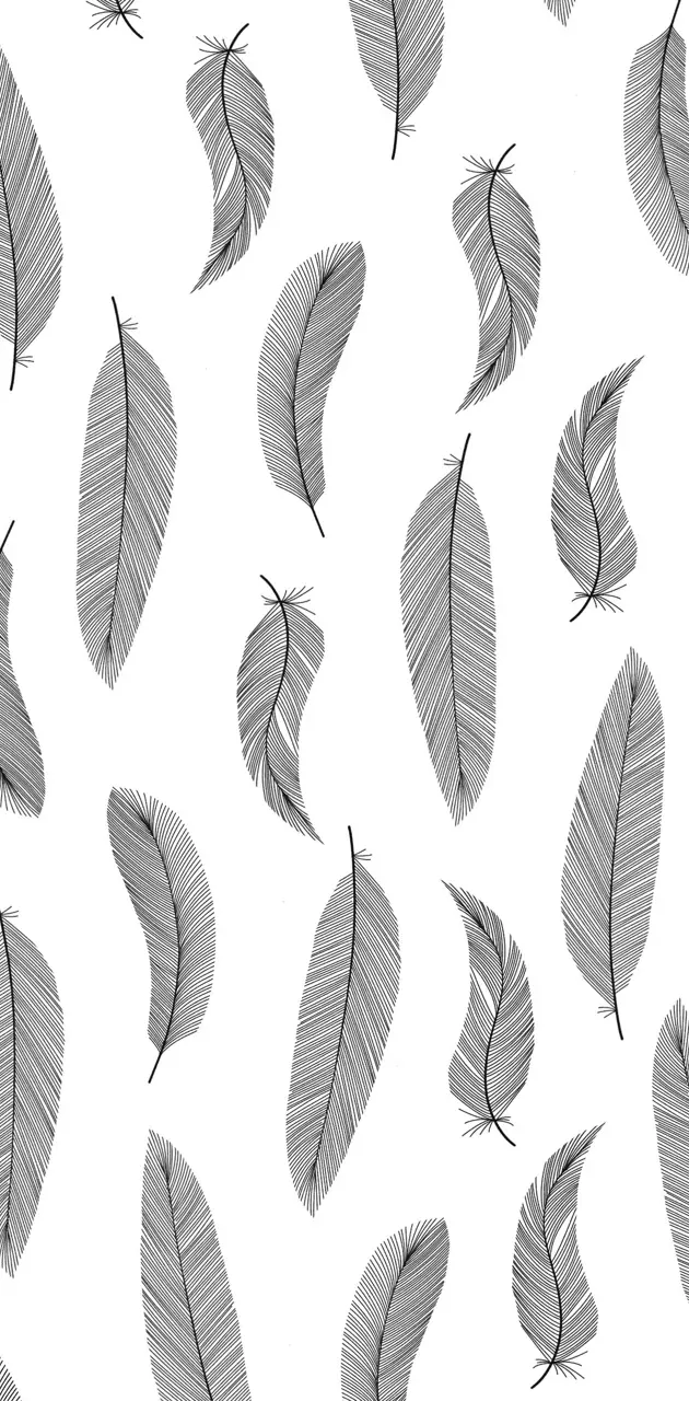 Feathers wallpaper