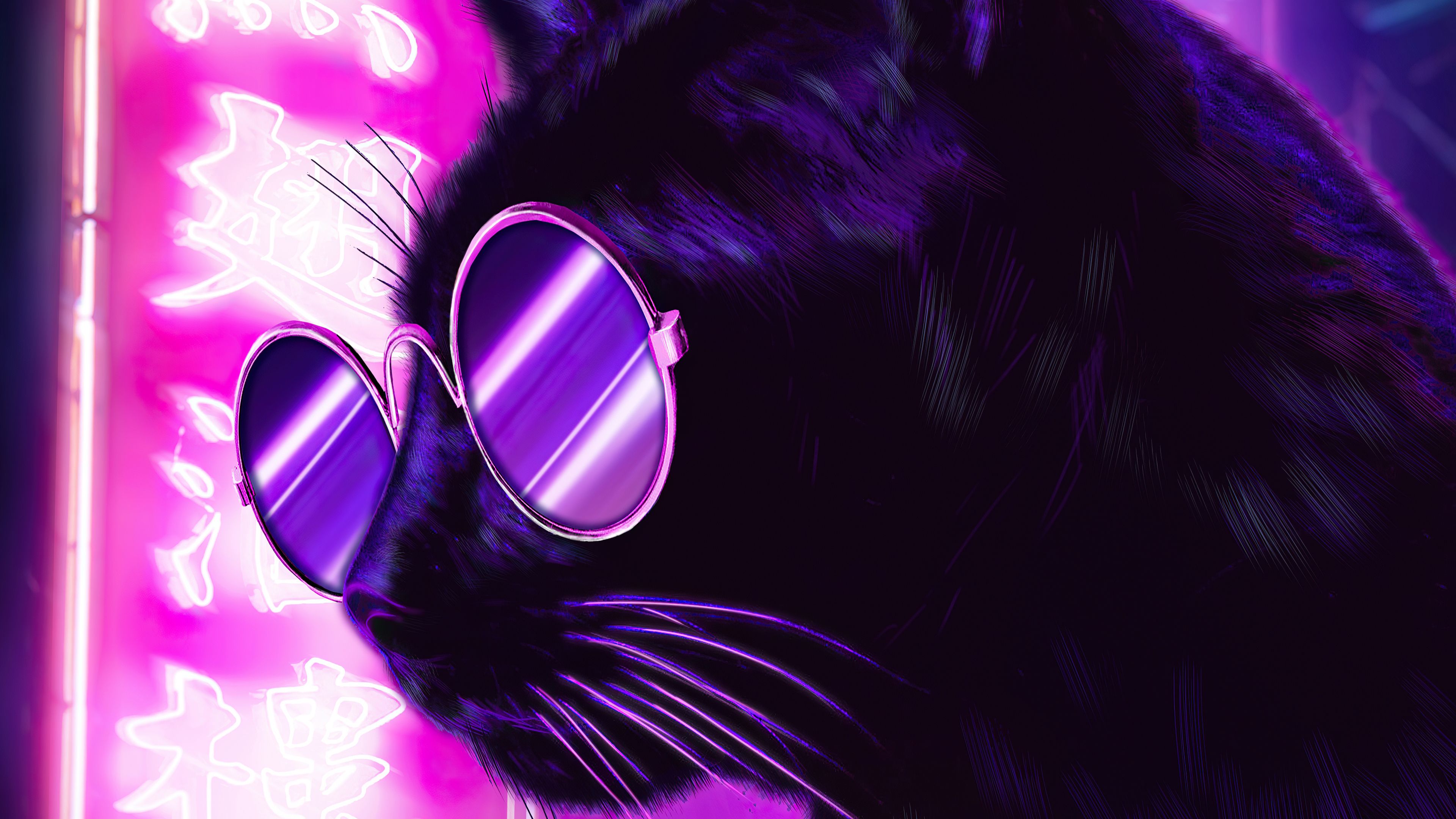 Cat Glasses Neon Purple Nights 4k 4k HD 4k Wallpaper, Image, Background, Photo and Picture