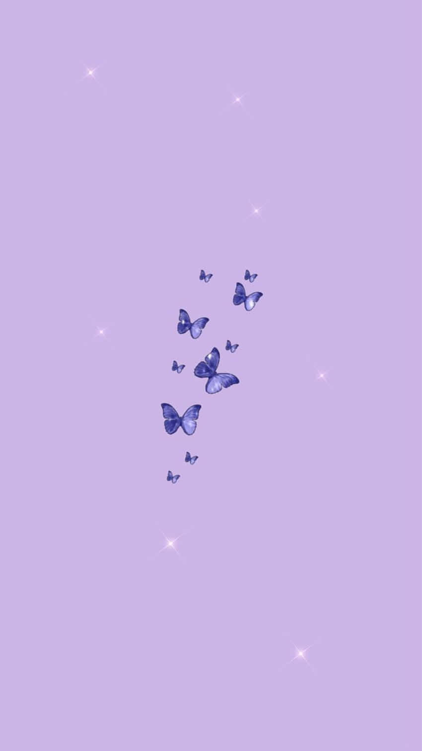 Download Aesthetic Purple Cute Butterflies Picture