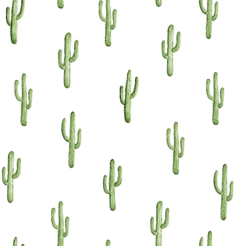 Brewster Wallcovering 8 in. x 10 in. Peron Green Cactus Wallpaper Sample. Behang, Groen behang, Groen