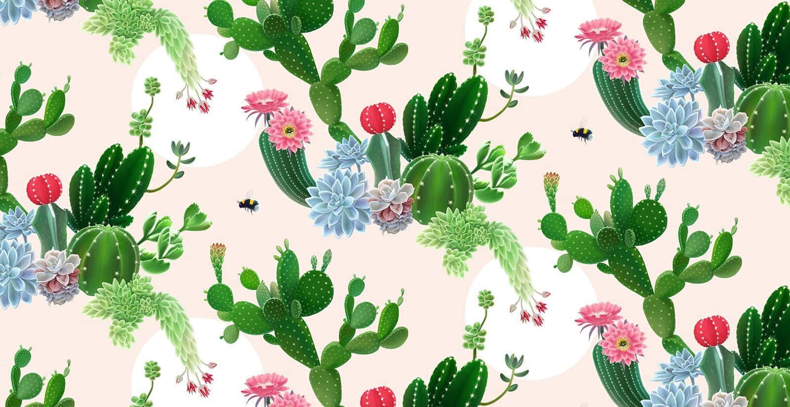 Download Aesthetic Cactus Flower Wallpaper