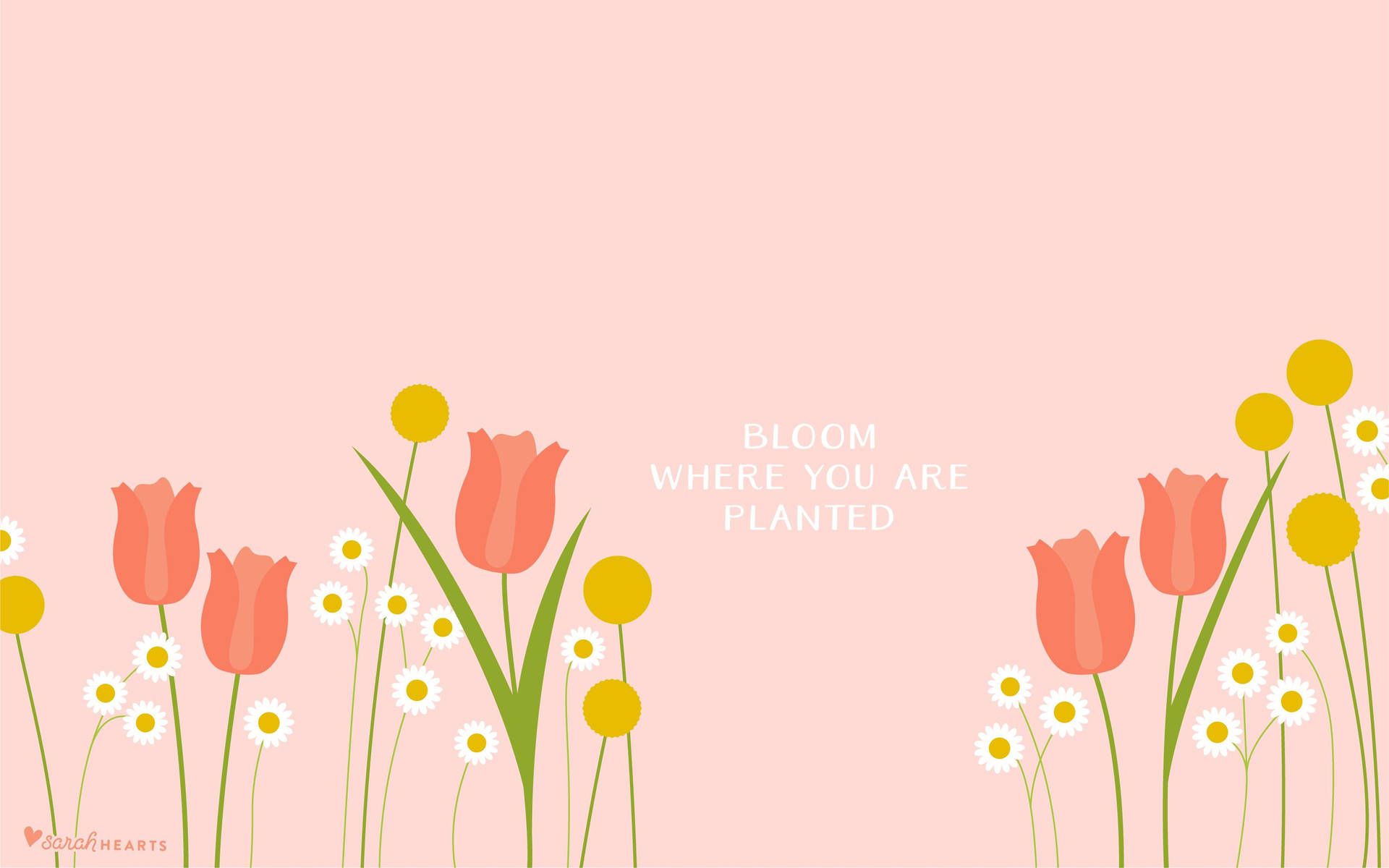 Download Spring Aesthetic Positive Wallpaper