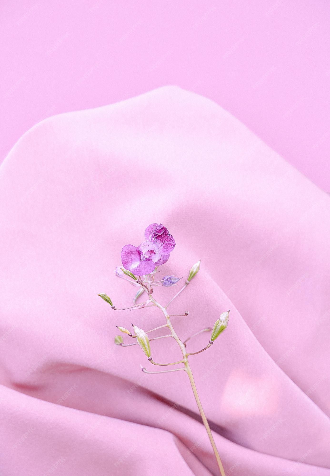 Premium Photo. Purple flower on pink silk fabric background. aesthetic minimal wallpaper. summer spring floral plant composition