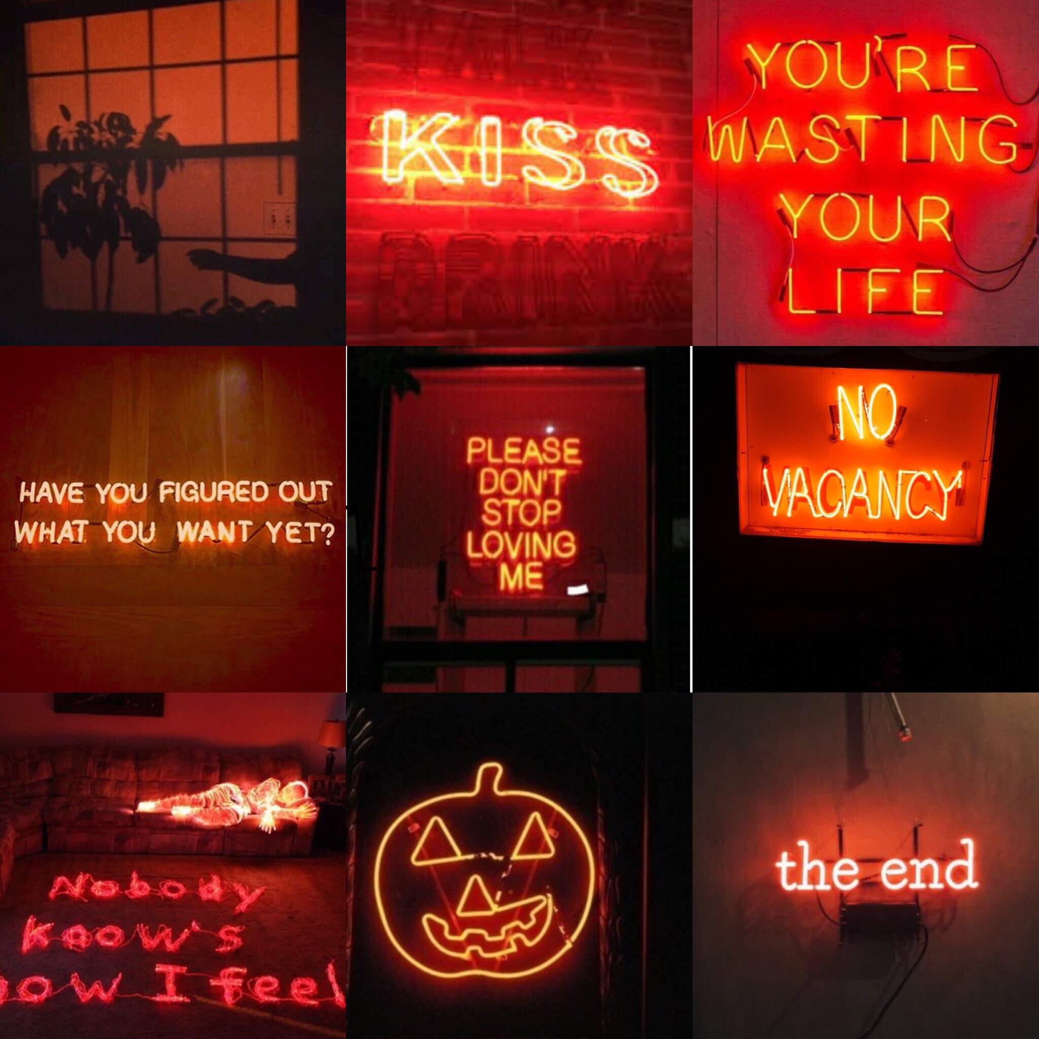 Aesthetic red neon signs with different sayings - Neon orange