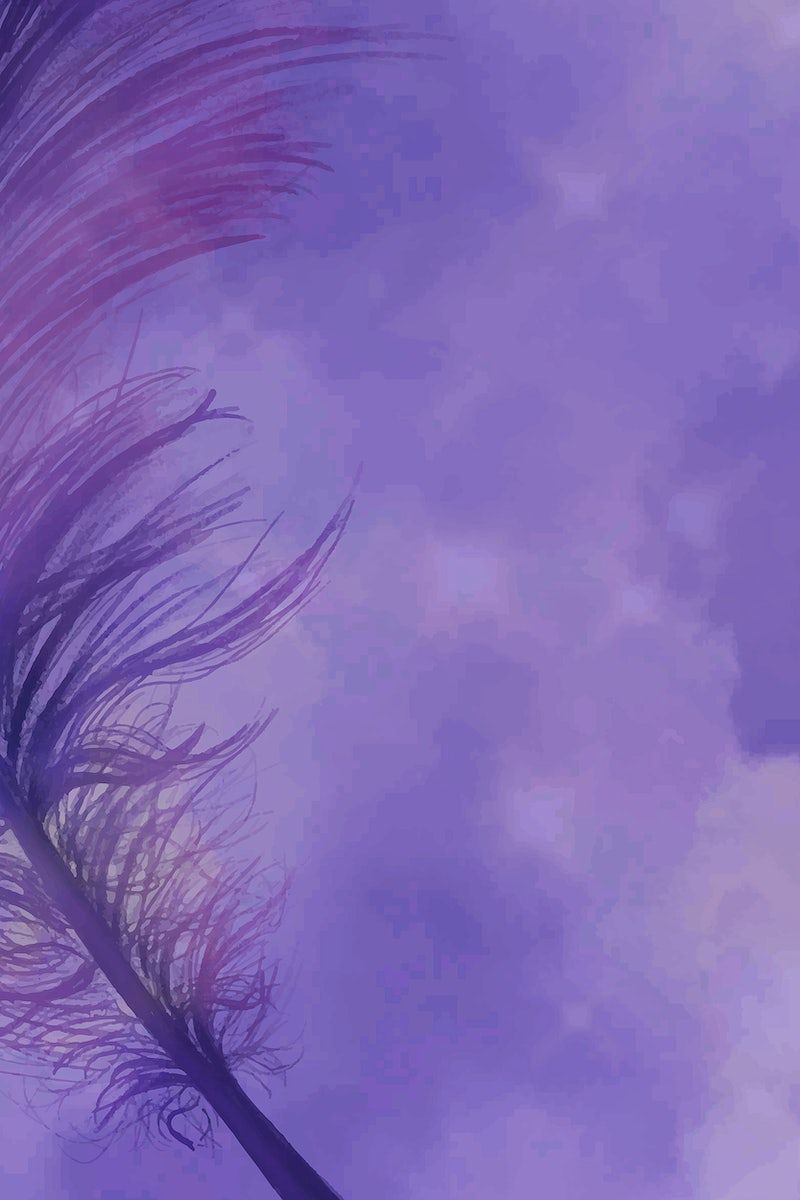 Realistic feather on purple background