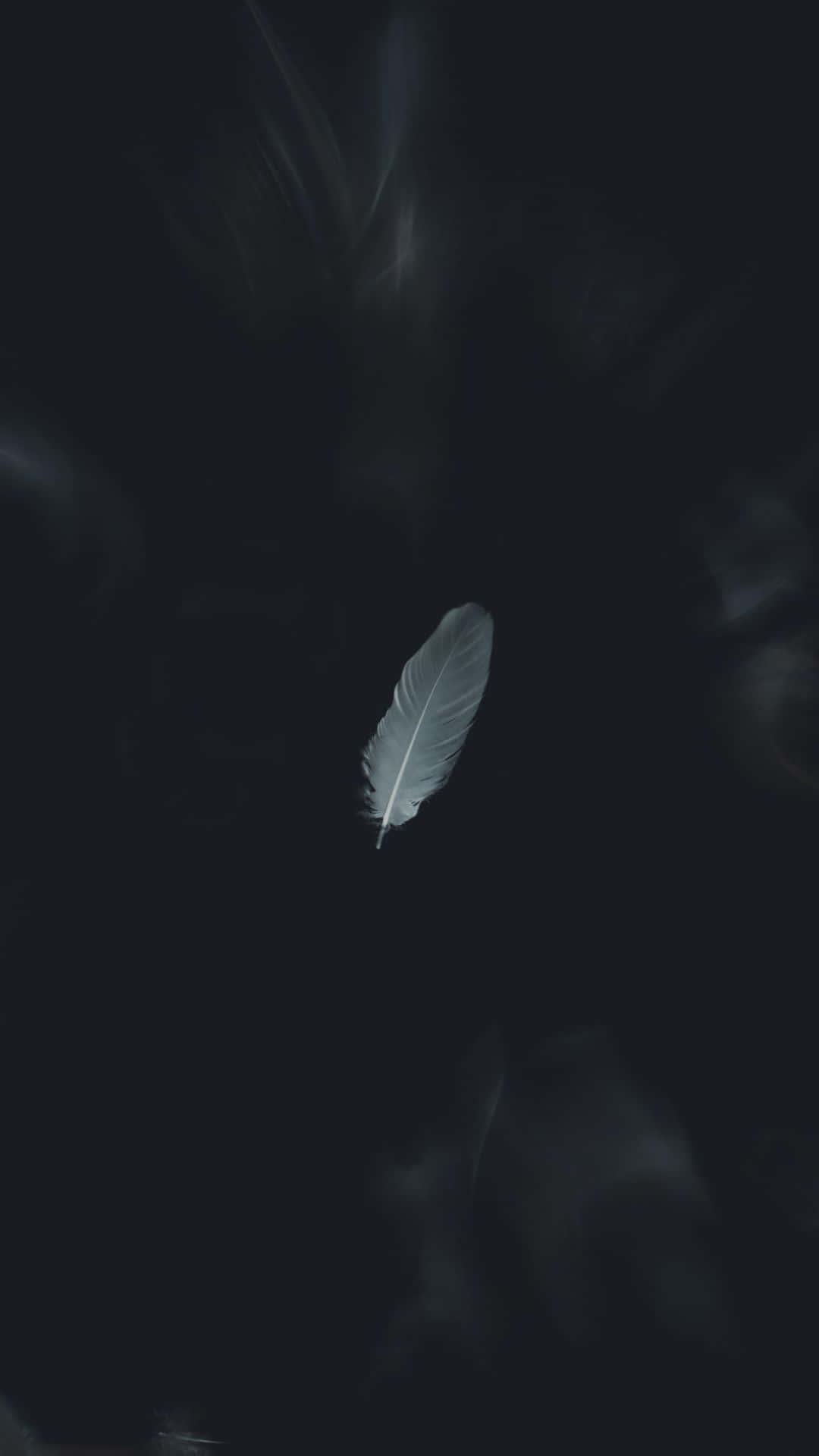 Download Single Feather Aesthetic Black Background
