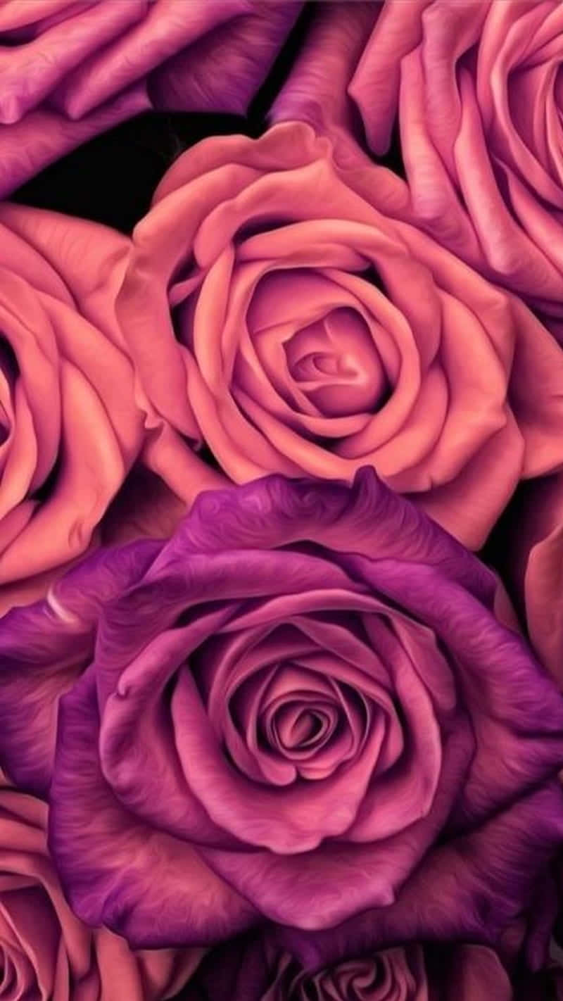 Download Aesthetic Magenta And Pink iPhone X Roses Background