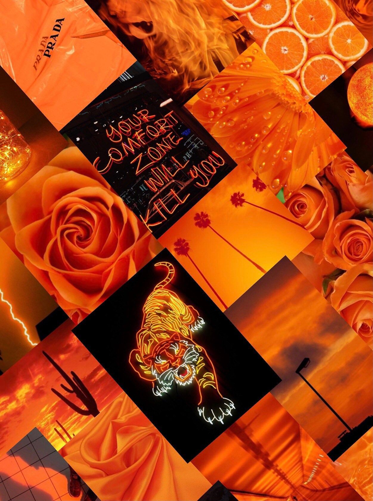 Aesthetic orange background with a collage of orange images - Neon orange