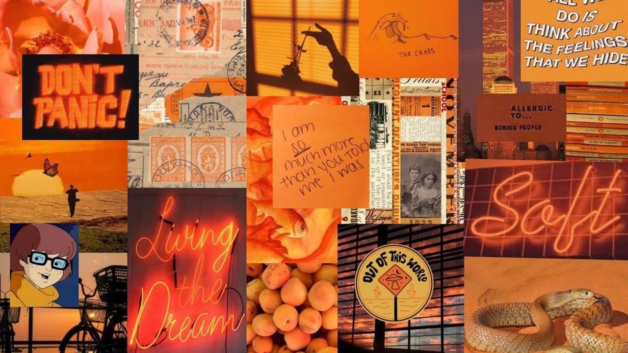 A collage of different orange aesthetic pictures - Neon orange