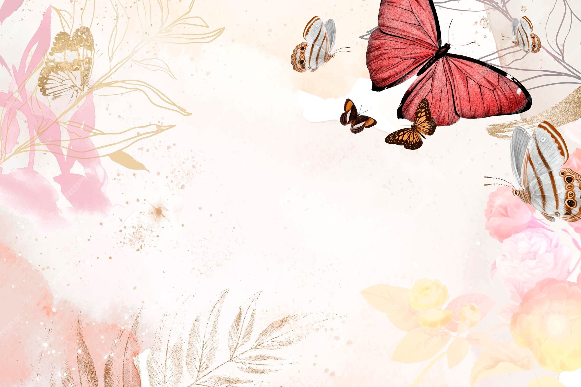 Butterfly background aesthetic border