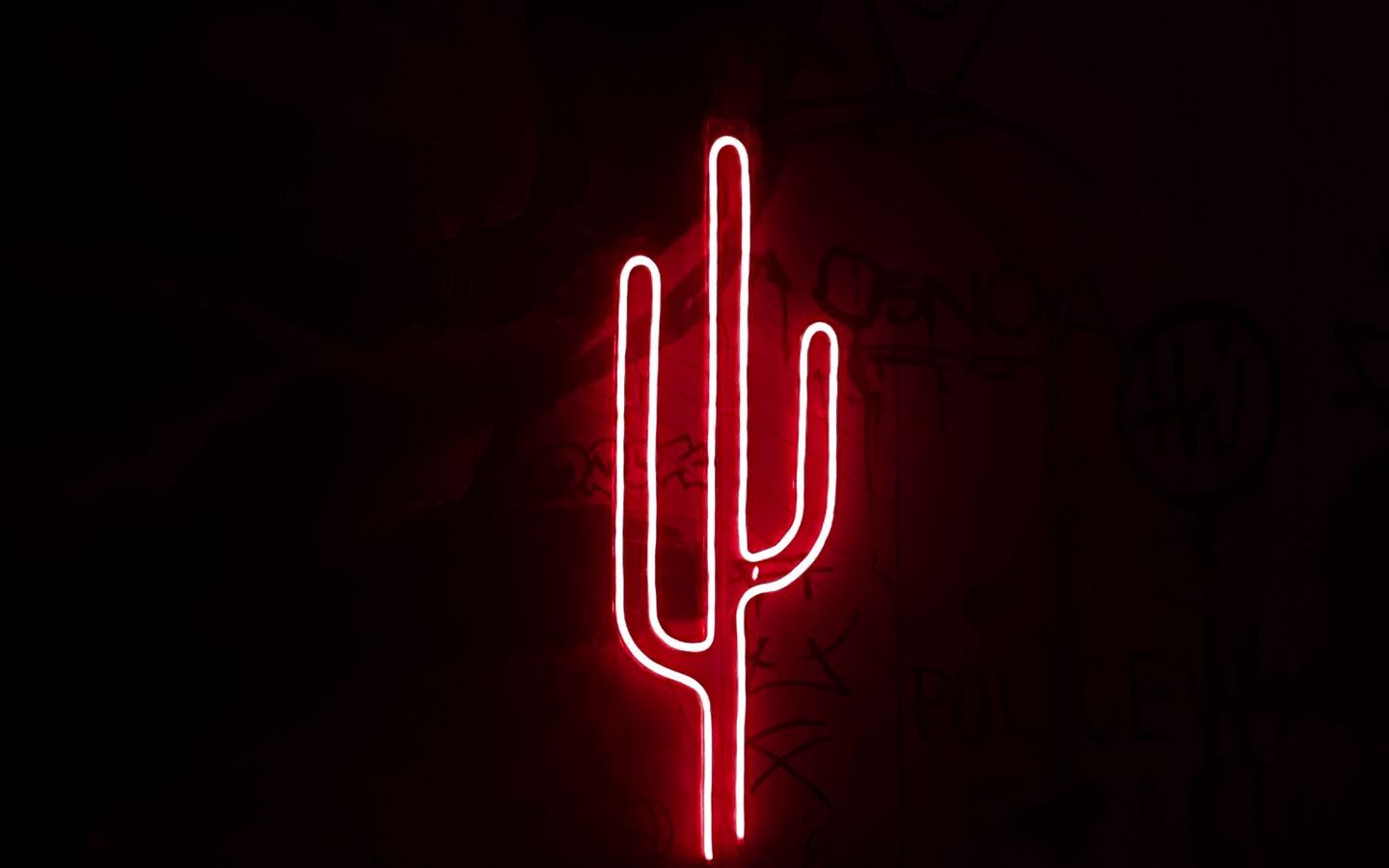 Download wallpaper 1440x900 cactus, neon, light, red, darkness widescreen 16:10 HD background