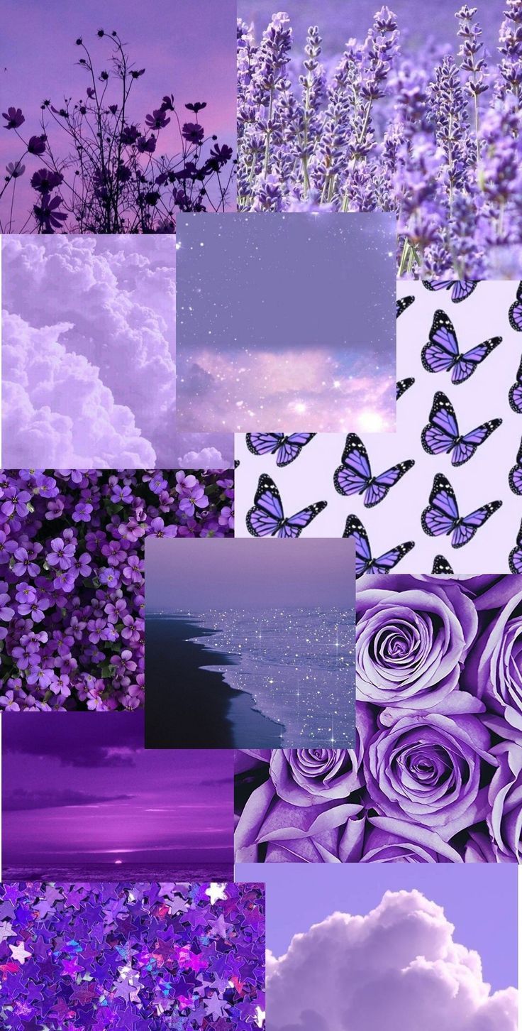Aesthetic purple wallpaper with butterfly, rose, and nature themes - Purple